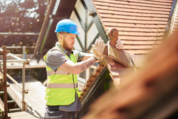 Best Roof Gutter Cleaning  in Wd, AR